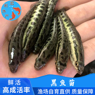 2021�s�����~�� ���~�� ��֥��ˮ���~�� ���~�� ��ˮ�Bֳ���^�~