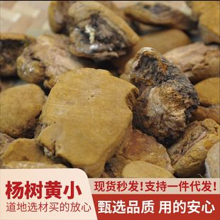 Ұ��ɣ�S�R��ɣ�S��NҎ����x����S�����SС��ȻҰ��