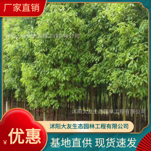 �������l �Ԯa���N�������� ���^�쾰��·�@�ֹ��̾G����