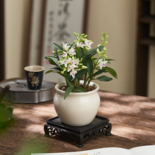 ��ˮʯ���m�����҃��k��������Gֲ�����_��ֲ���m�������������B