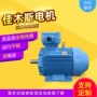 佳木斯三相变频异步电动机