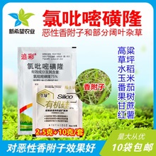 香附子专用除草剂 氯吡嘧磺隆 高粱玉米草坪甘蔗红薯除草剂 包邮