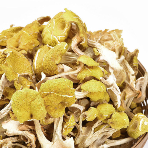 Direct supply of Yunnan specialty edible mushrooms, chicken oil mushroom source base, Huangsi mushroom soup, Tremella dry mushrooms, wholesale