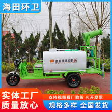 喷雾抑尘车 电动三轮高炮喷洒车 新能源洒水雾炮车 功能多