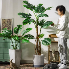 大型亀背竹シミュレーション植物偽樹室内客間ホテル着地バイオニック緑植鉢植え装飾造景