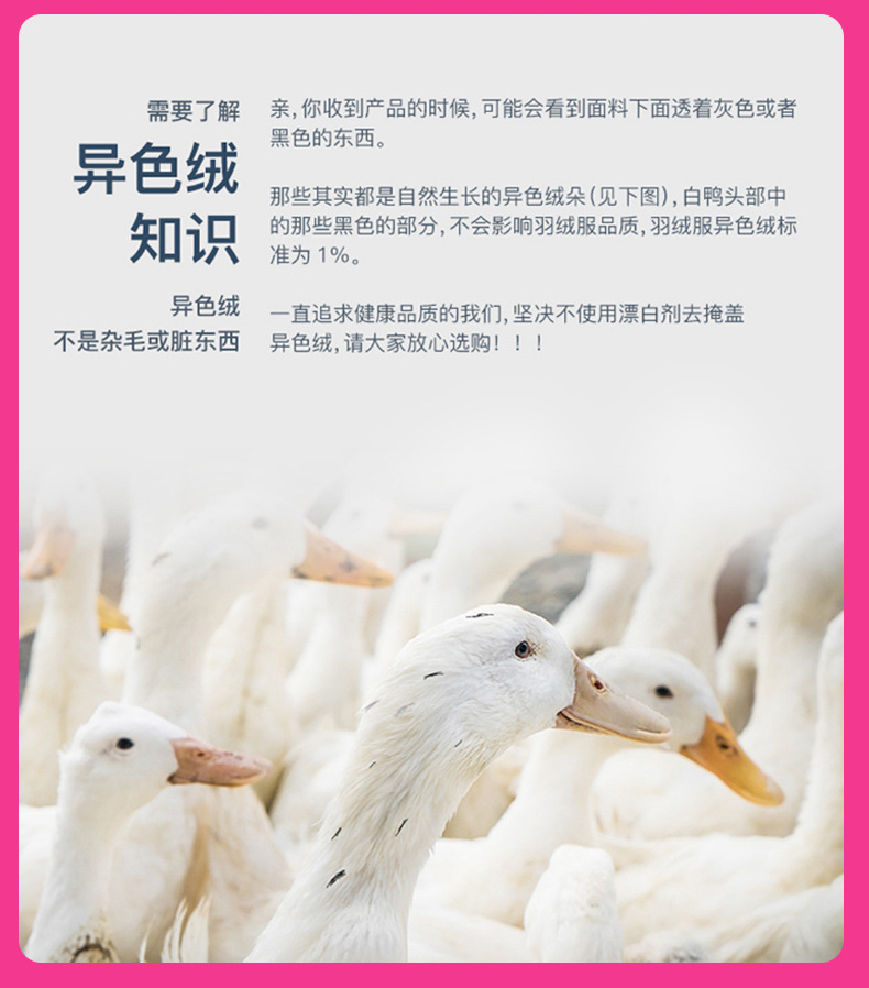 Служба скалолазания_19.jpg