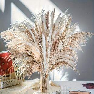 �����Ȼ�JȔ���}�Q�ɻ�������Ʒ�������l���R�d�羳����˹��