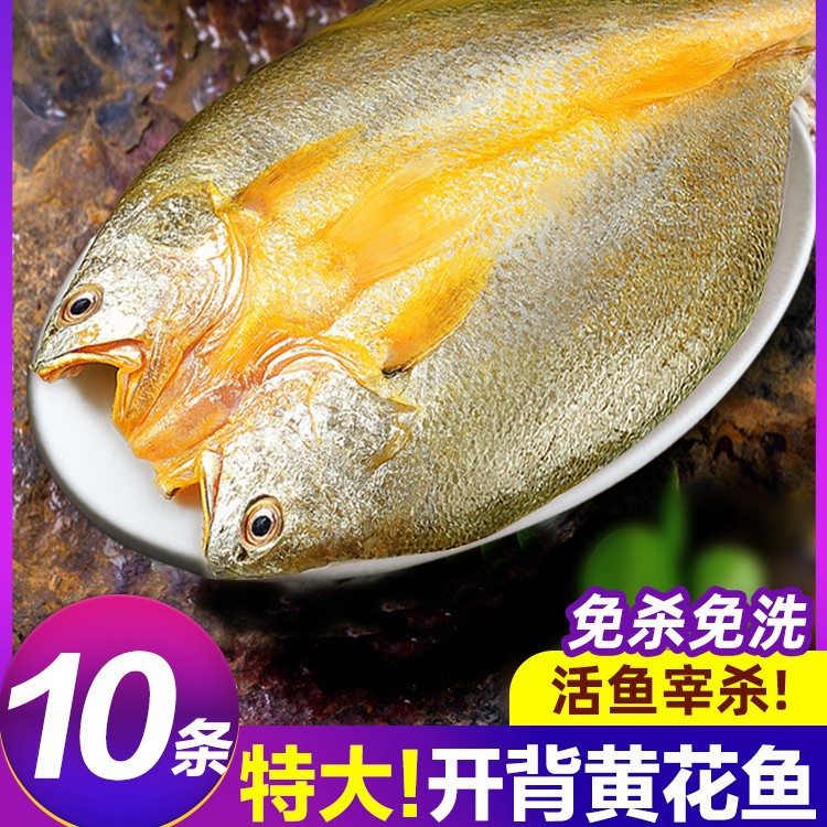 黄鱼鲞新鲜冷冻大黄鱼黄花鱼三去生鲜宁德小黄鱼鲜活海鲜海鱼商用