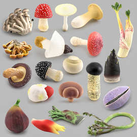 跨境仿真菌菇套装蔬菜香菇松茸假毒绳伞蘑菇认知景观植物模型摆件