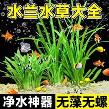 Сˮ�mˮ��ֲ�����ǰ����Ϫ�������B����ԃ�ˮ���������~���쾰