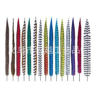 ����ɽ�uë�赸�^��������ݳ����u��ë����������������