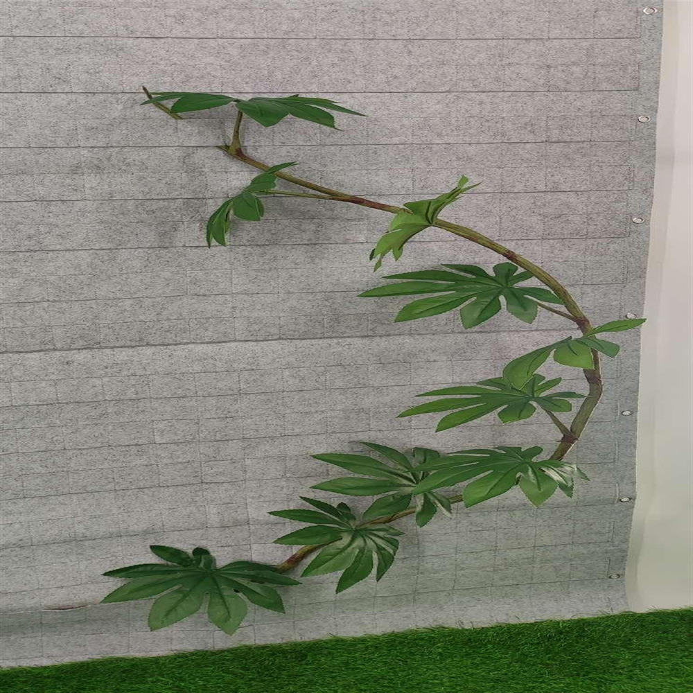 微信图片_202412311136443