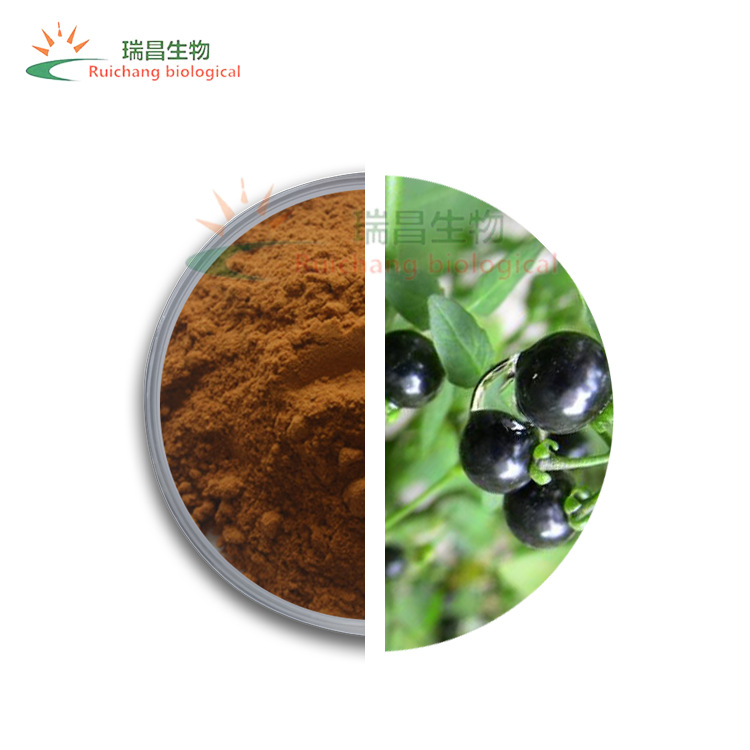 龙葵提取物 10:1 龙葵粉 龙葵皂甙 水溶 龙葵全草萃取 陕西瑞昌