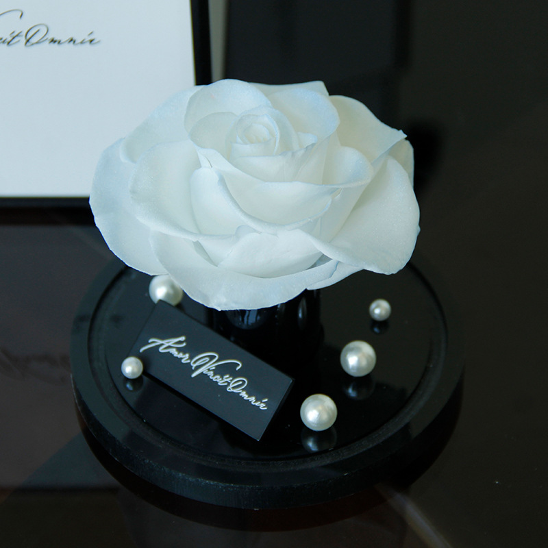 Rosa vela cielo azul