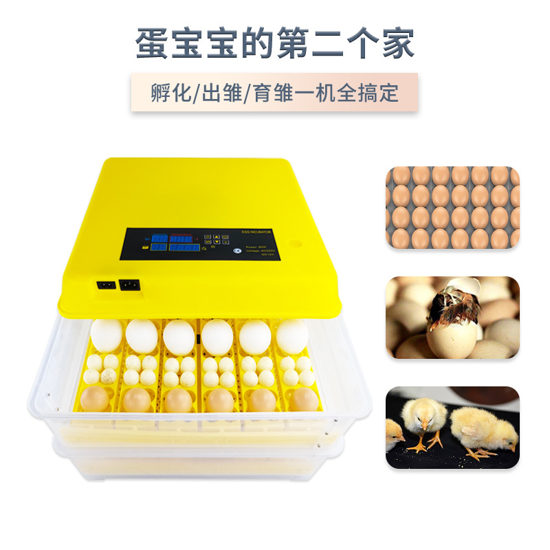 72 incubadora inteligente incubadora pollo pato codorniz paloma incubadora pequeña incubadora doméstica con un solo clic de incubación