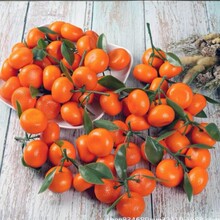 �������ģ�ͼ��������S�����ĭˮ���Ĕz���ߎ��~ɰ���ٙ���չʾ