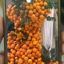 ���ӽ�����ʿˮ�����ʷ���ģ�͸������O���O��ɰ����۵������߲�