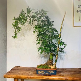 ���������Ϙ�С�~�{���������Gֲ�������Կ͏d�҃Ȳ����辰��Ʒ