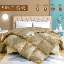 柔赛丝羽绒被冬季加厚保暖被芯抗菌防螨春秋95白鹅绒纯棉新款