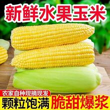 ˮ��������׬Fժ���r���̫ꖻ����������Ա��{