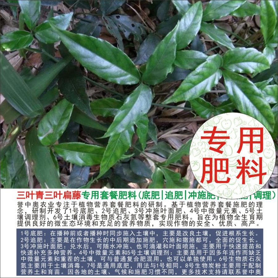 50�����а���Ҷ��ר���л��ʸ��Ϸʵ׷�׷��Ҷ��ʳ�ʩ��ˮ�ܷ�