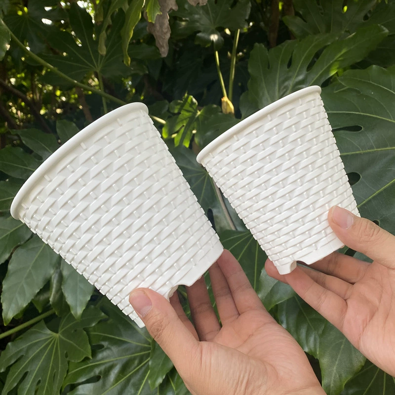 Цветочный горшок из виноградной лозы белый дышащий корневой контроль таз фаленопсис зеленый луза мясистый столешница пластиковый цветочный горшок