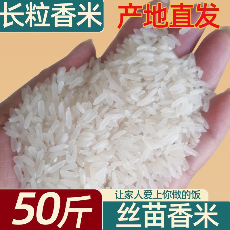 Shanzhuangren 25kg 10kg Jasmine Fragrant Rice Grade One Soft Fragrant Rice for Canteens, Restaurants, and Wholesale Shanzhuangren 25kg 10kg Jasmine Fragrant Rice Grade One Soft Fragrant Rice for Canteens, Restaurants, and Wholesale