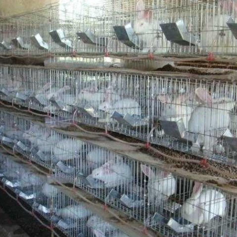 重庆筛网批发鸡鸽兔笼9位12位兔笼子子母笼种兔笼养殖笼宠物笼