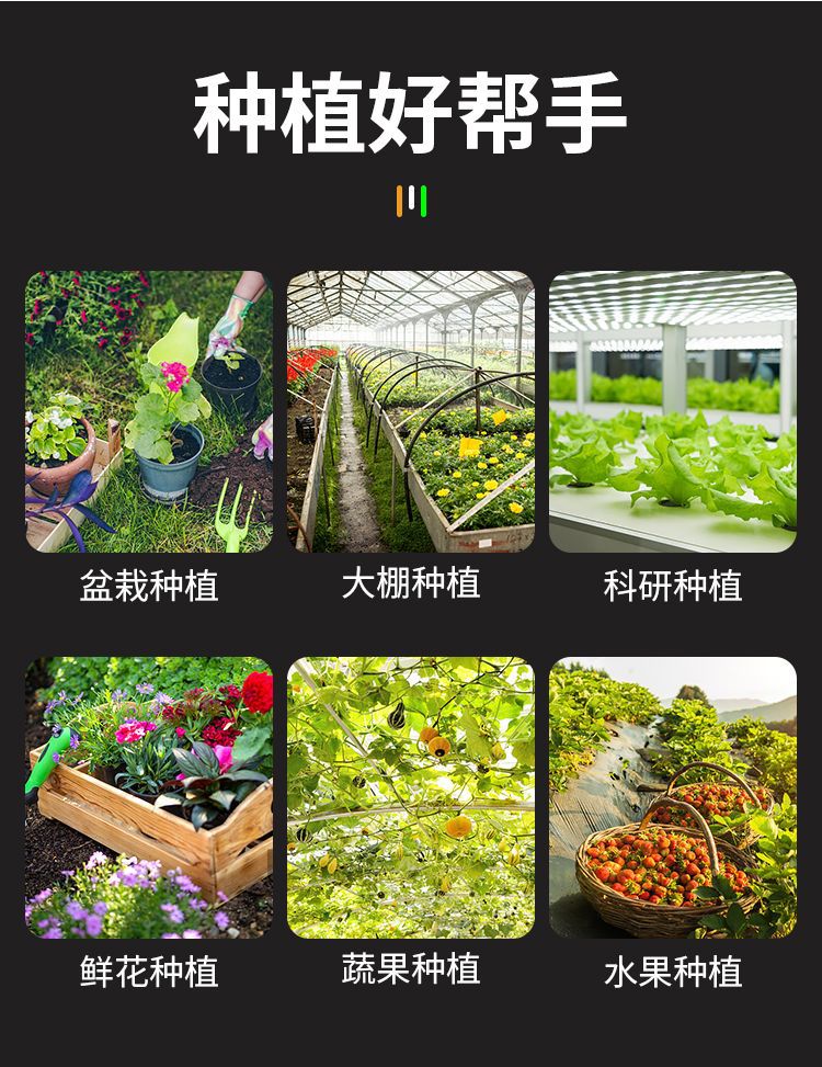 详情图片_05.jpeg