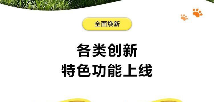 Real-time dog tracking smart GPS tracker, new anti-electronic fence locator, waterproof pet cat collar, others