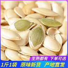 内蒙古生南瓜子熟炒货原味500g袋装南瓜籽新货坚果零食新鲜散装