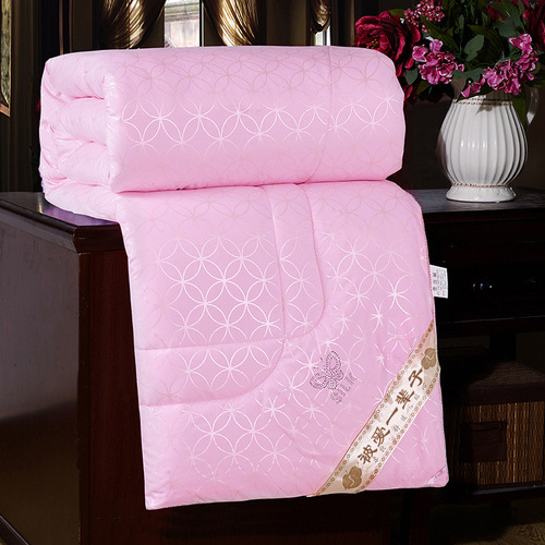 Spring and autumn air conditioning quilt thickened warm quilt core winter quilt single double student dormitory mattress manufacturer wholesale