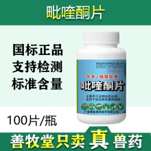 兽用狗猫羊驱虫药兽药兽用吡喹酮片牛羊脑包虫打虫100片国标批发