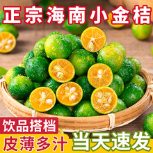 ����С���5��С�������r������Ƥ������ˮ���������̲�ꌣ��