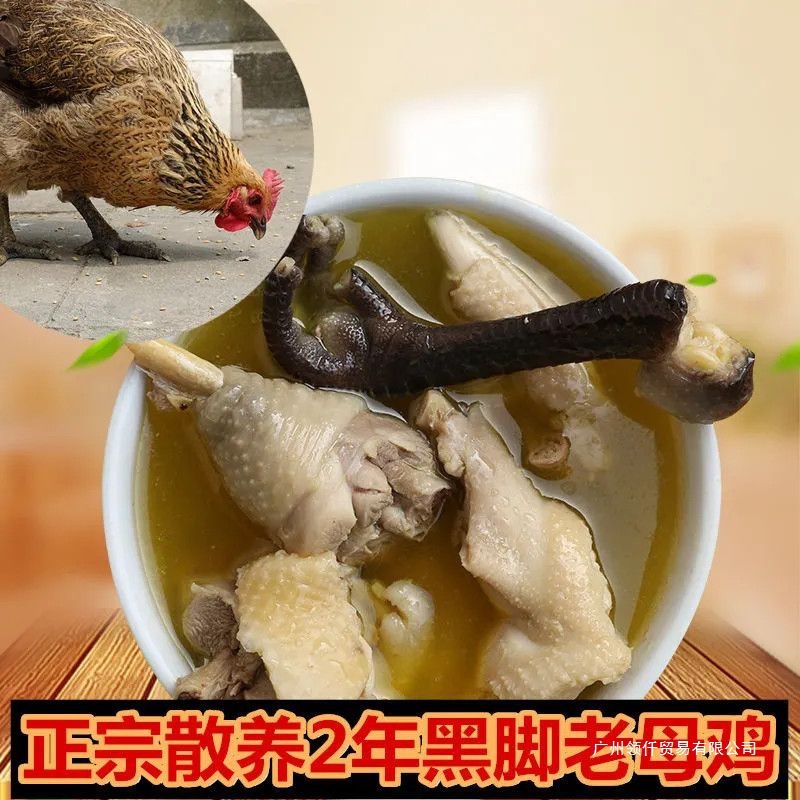 正宗农家散养土鸡黄油老母鸡土鸡笨鸡黑凤鸡现宰现杀鸡胸中国大陆