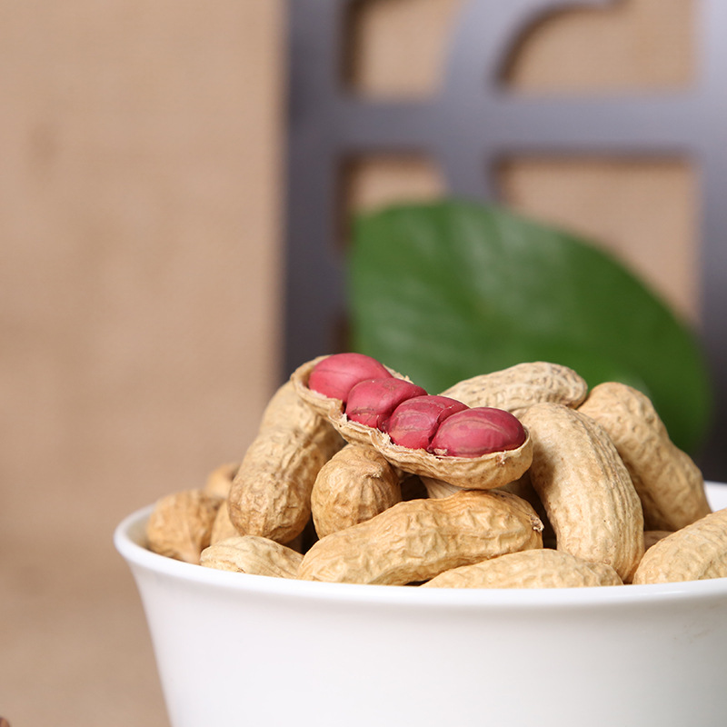 ���㻨���׺�����ɽ������ɢװ���������㿾�������״�������ʳƷ