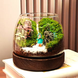 Cute Desktop Moss Plant Landscape Terrarium Micro Landscape Microscopic Ecological Bottle Miniature Potted Bonsai Landscaping