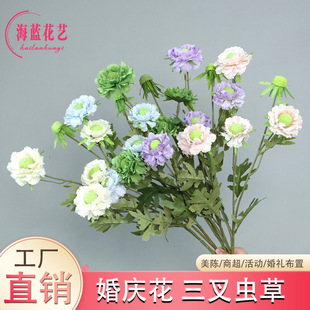 ���滨�����x�ݼҾ��b�c����߶˻�Y�ò����b[�����l���Q