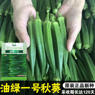 �;Gһ̖����N�Ӹ߮aˮ������N�ѿ����ļ����Nˮ���߲˷N����