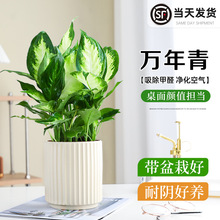 �ؼ��f���������҃ȾGֲ�k���ҿ͏d�ļ����������՚���B�����ȩ