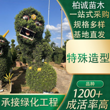 _hľֱN͘еGľLľ辰