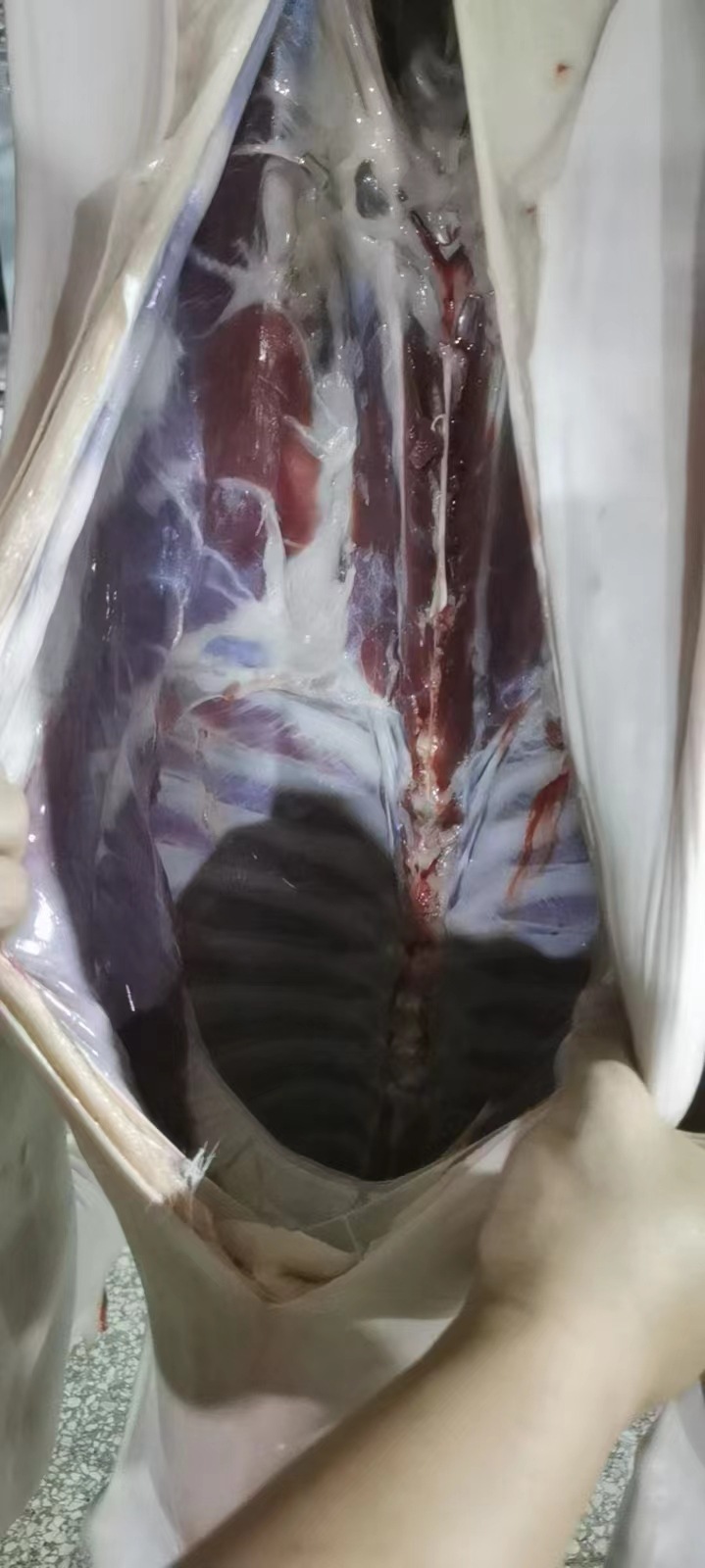 微信图片_20221018210616