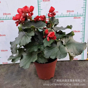 ������õ�庣���ļ��_���҃����^�����Կ͏d�̨ͥԺ�Gֲ�ͻ�