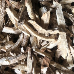 ���l��֦ ��ľ �๝ ������ �����Z �����Z ɽ���� ����^