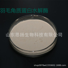 ë|ˮø20fu/g ë۽ǵø 