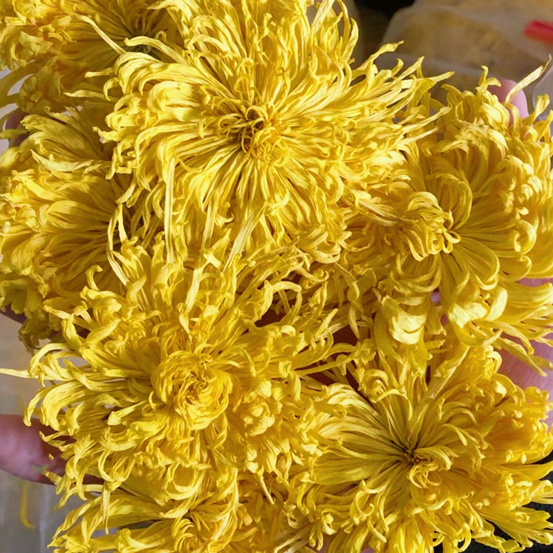 Direct Supply from Base: Bulk Golden Silk Chrysanthemum Big Head Chrysanthemum Tea Wholesale One-Stop Source, Bulk Discounts