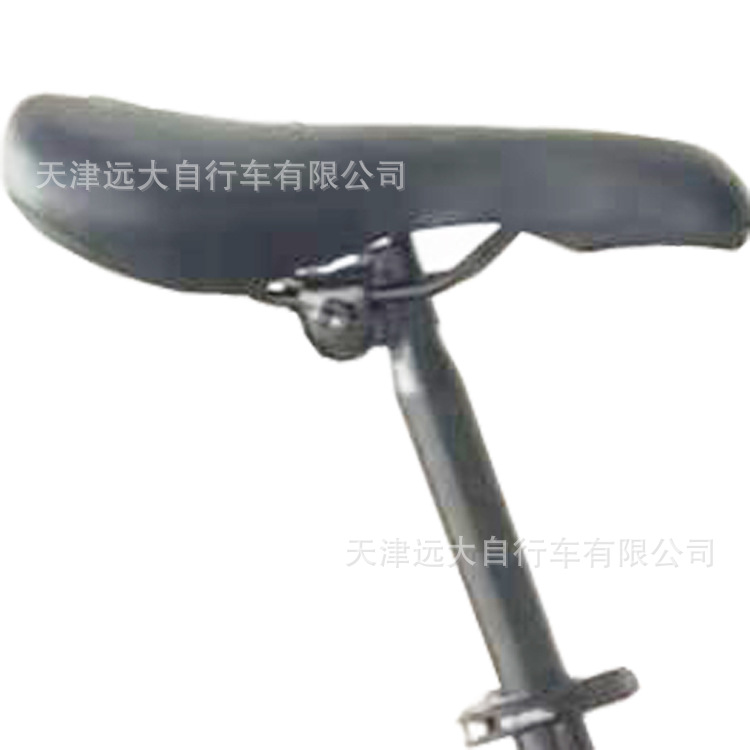 天津远大自行车有限公司