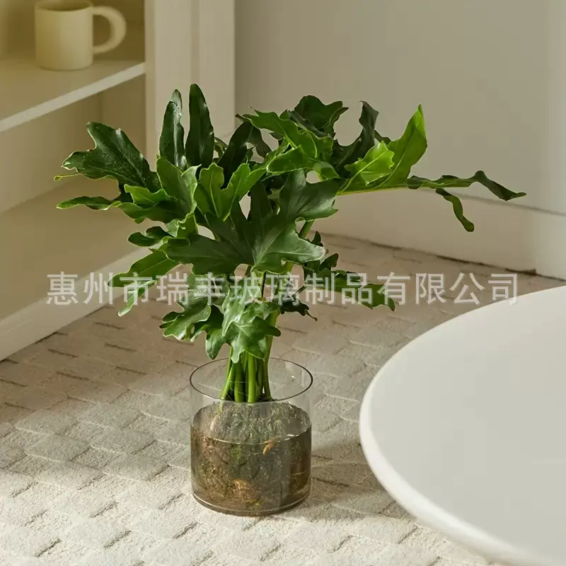 大号直筒花瓶玻璃批发水培鱼缸多尺寸花瓶富贵竹插花器简约摆件