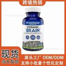 ���Q�S��e m�ӑB���X�a��Dynamic Brain���X�z��đ�|��֬���z����