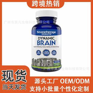 ���Q�S��e m�ӑB���X�a��Dynamic Brain���X�z��đ�|��֬���z����